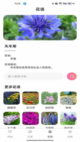 傲娇壁纸伴侣版
